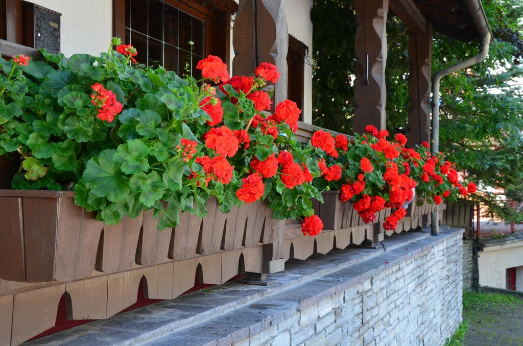 Bed and Breakfast Garni Sayonara San Vigilio Di Marebbe Exterior foto